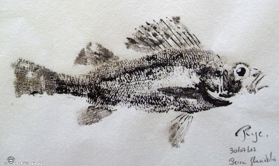 Gyotaku de perche commune de Saône Gyotaku de perche commune de Saône