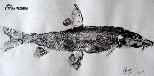 Gyotaku de barbeau