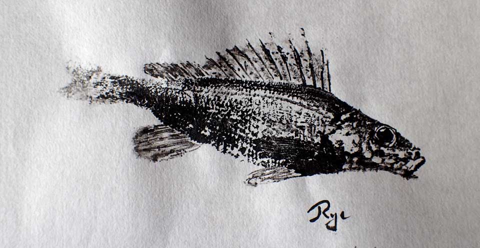 Gyotaku de grémille