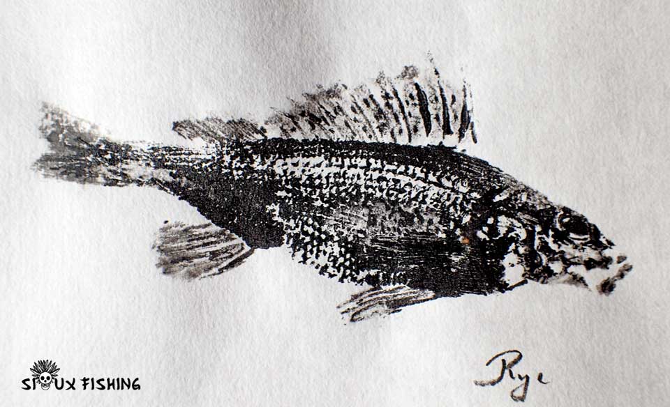 Gyotaku de grémille