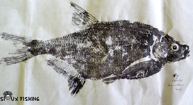 Gyotaku Brème commune