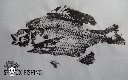 Gyotaku - Perche soleil