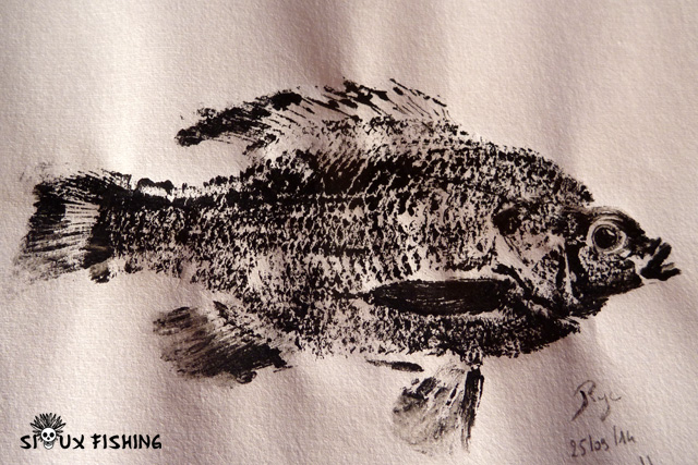 Gyotaku de perche soleil