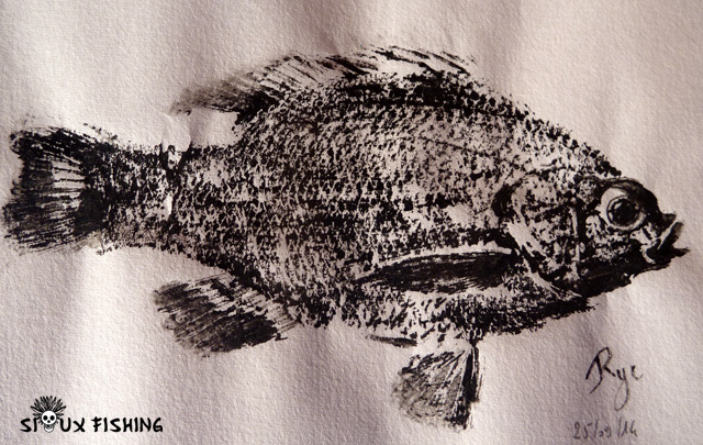 Gyotaku de perche soleil