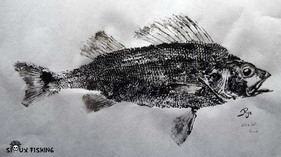 Gyotaku de Perche