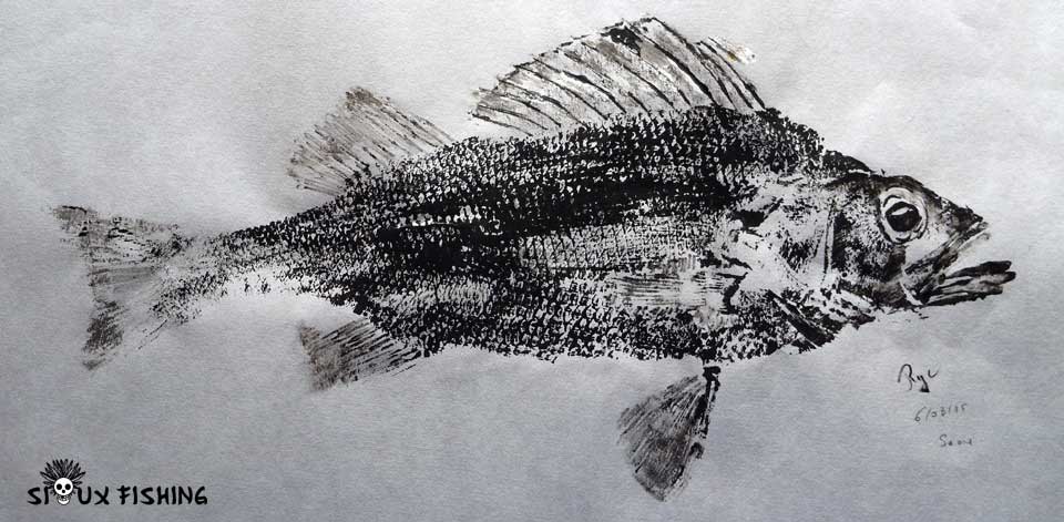Gyotaku de Perche