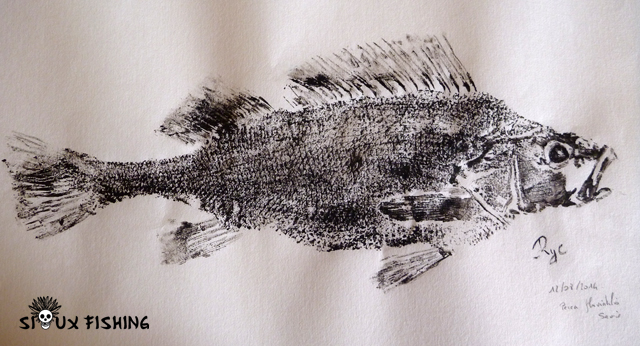 Gyotaku de perche