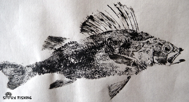 Gyotaku de perche