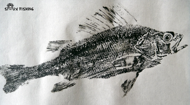 Gyotaku de perche