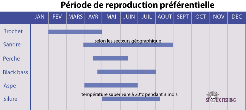 Calendrier reproduction des espèces de poissons carnassiers Français mini