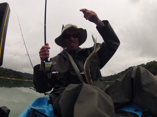 Petit brochet attrapé par le dos