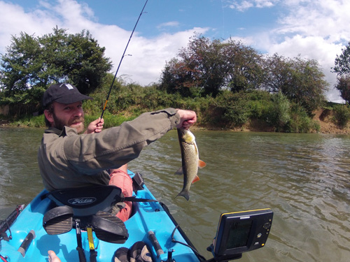 Chevesne de Saône aux leurres