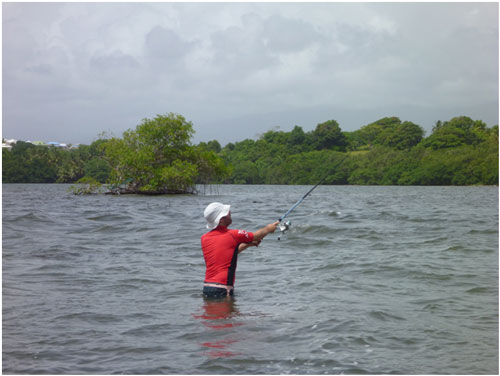 Pêche en Guadeloupe