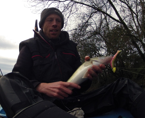 Petit sandre de Seille