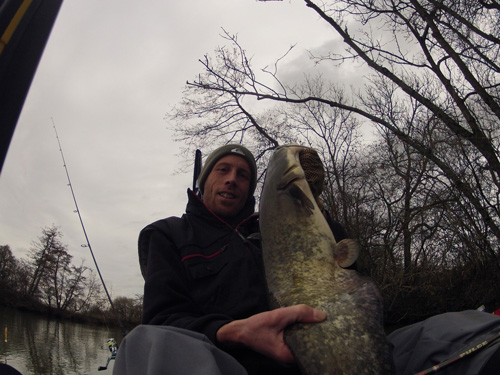 Petit silure de novembre en verticale