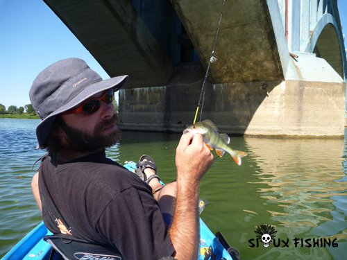 Perchette de Saône au Deep Diving Chubby