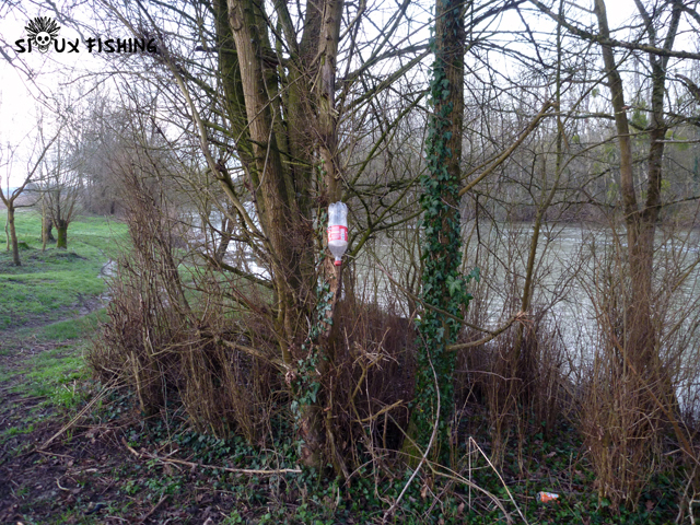 Nettoyage des bords de Seille