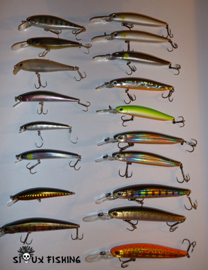 Poisson nageur pour la truite