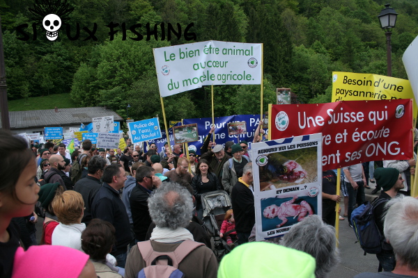Les banderoles aves les piquets jaunes