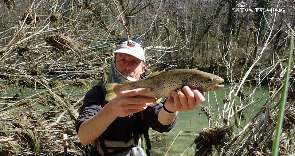 Truite de la rivière d'Ain