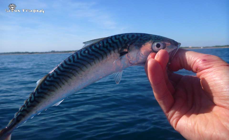 pêche en kayak en mer