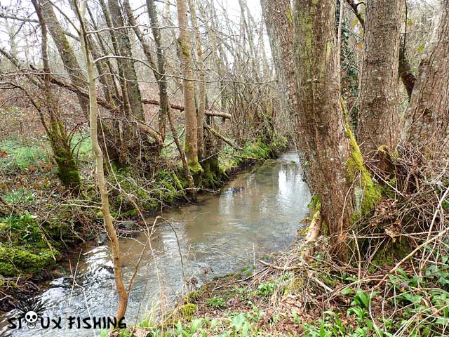 Petit ruisseau à truites