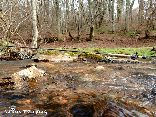 Petit ruisseau à truites