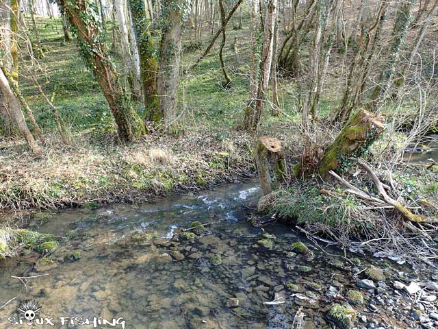 Petit ruisseau à truites