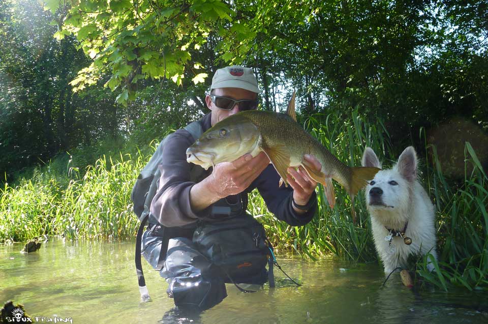Barbeau sur la Haute rivière d'Ain