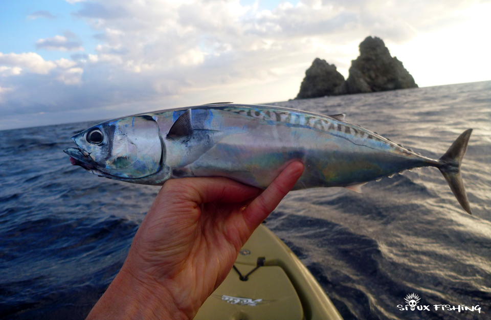 Bonitou Pêche Bonite en kayak