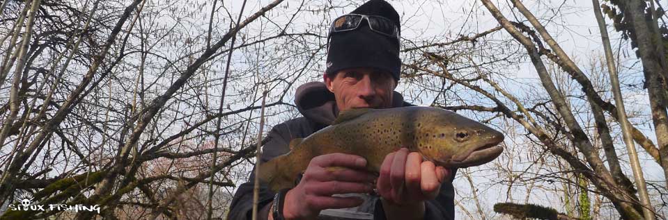 Truite de la Haute Rivière d'Ain