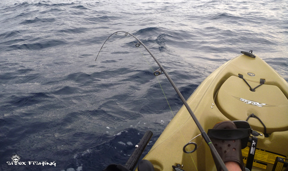 Combat avec une bonite