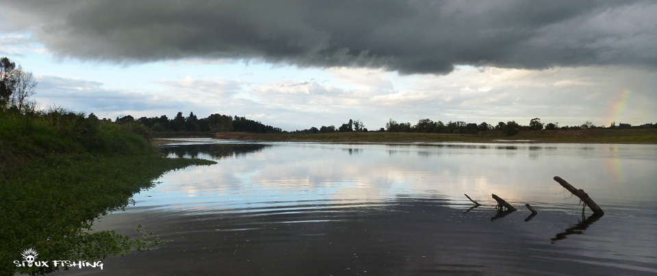 La Loire à Artaix La Loire à Artaix. Dernier fleuve sauvage