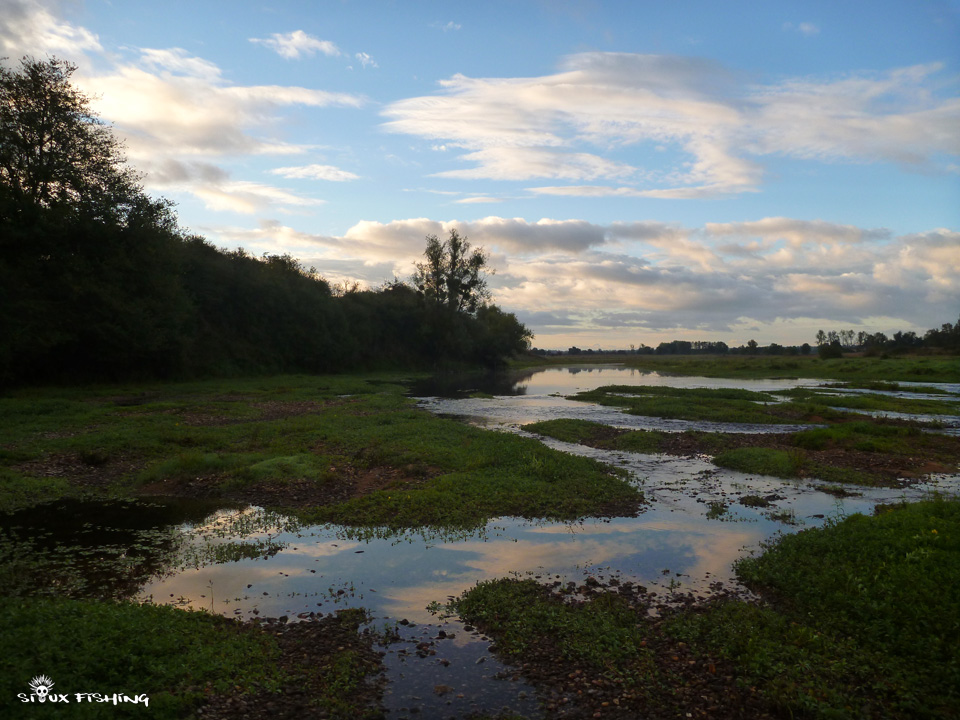La Loire à Artaix La Loire à Artaix. Dernier fleuve sauvage