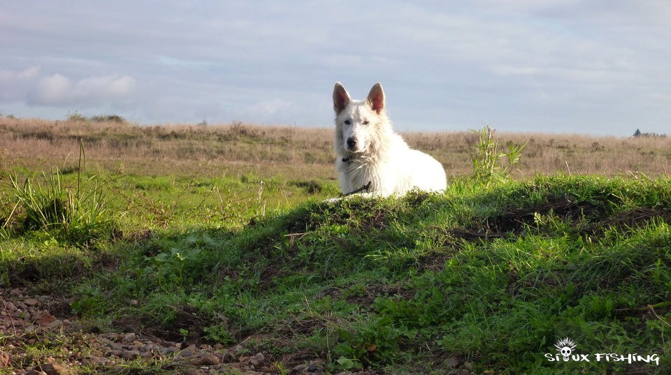 La Loire à Artaix La Loire à Artaix. Dernier fleuve sauvage