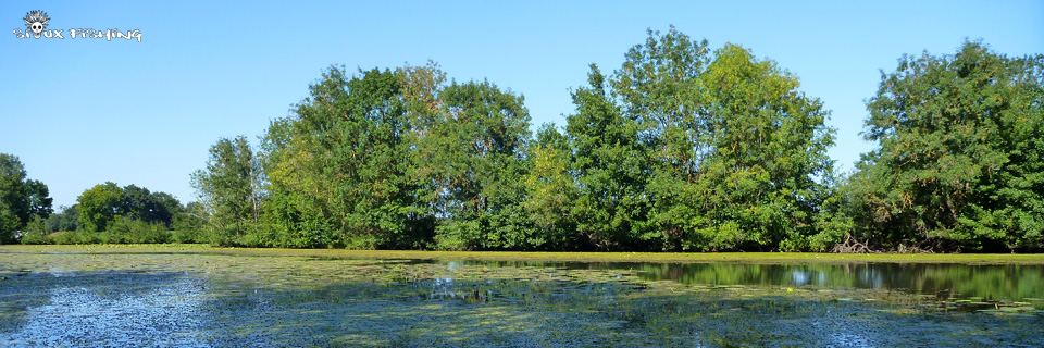 La Vieille Seille (71)