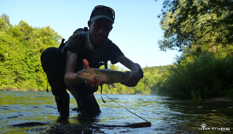 Truite de la Haute Rivière d'Ain