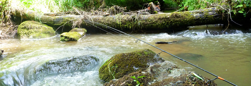 Le Mussy, une petite rivière à Truite Le Mussy, une petite rivière à Truite