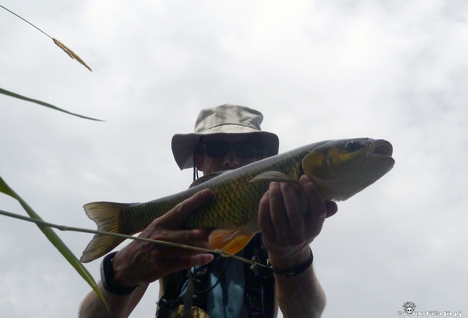 Chevesne de Loire Chevesne de Loire