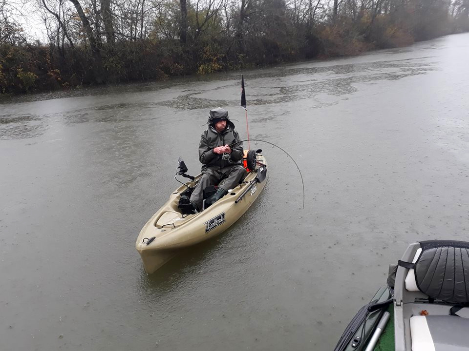 Pêche du silure en Seille