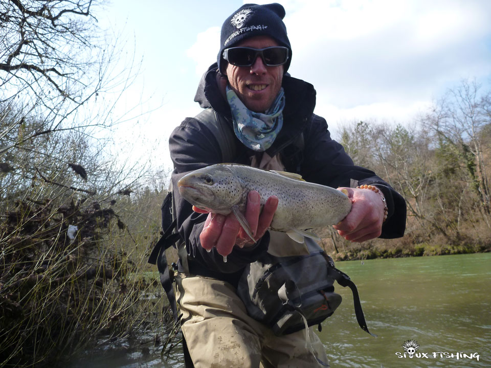 Truite de la Haute rivière d'Ain