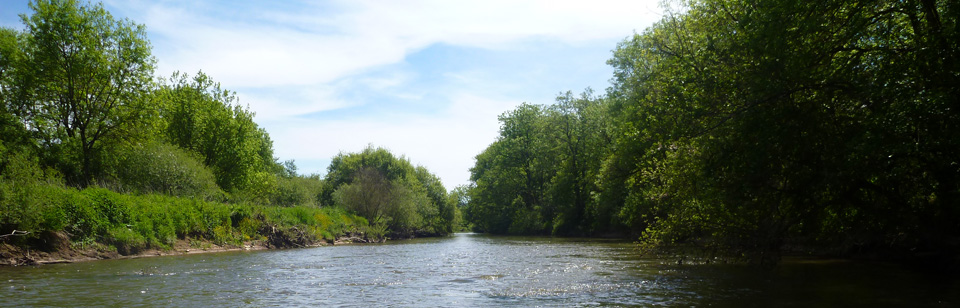 L'Arroux L'Arroux en aval d'Autun