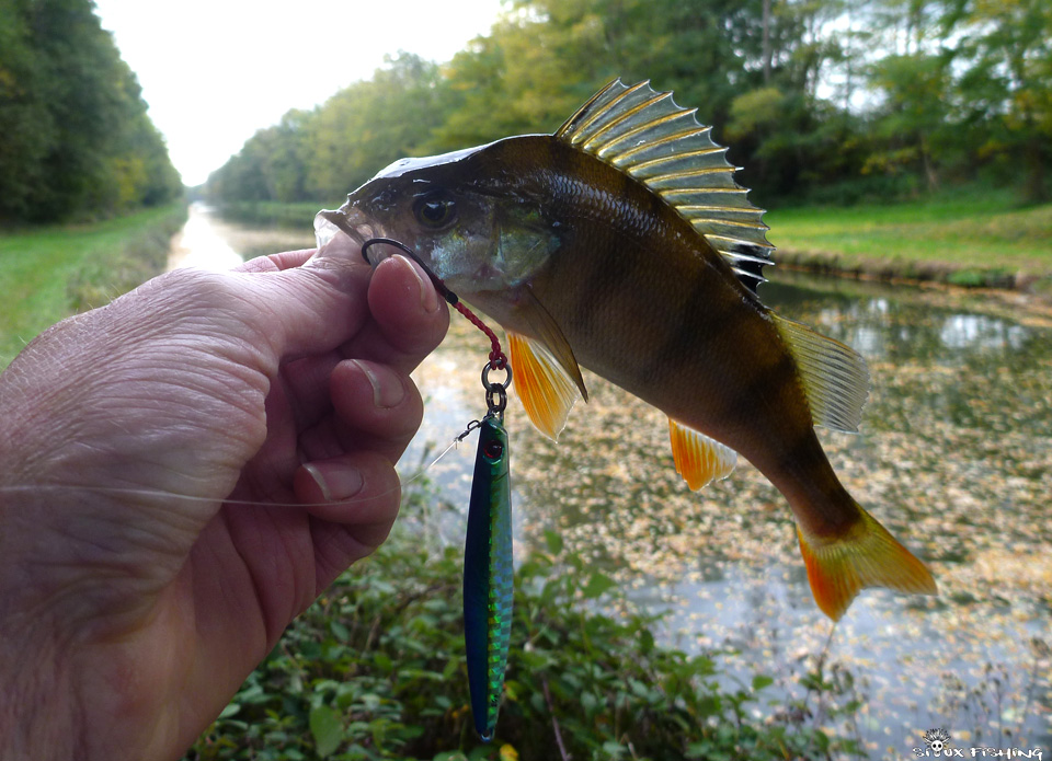Perche du canal de Roanne à Digoin Perche du canal de Roanne à Digoin