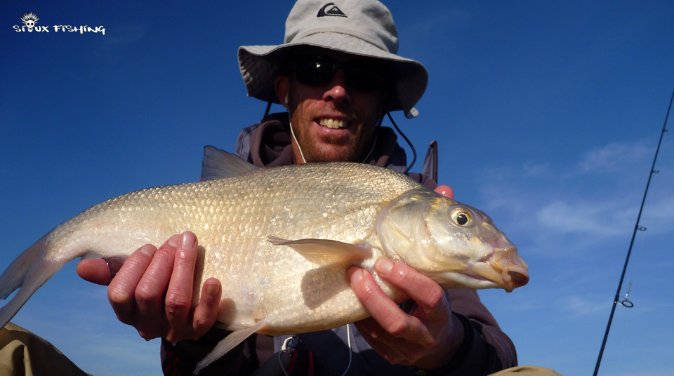 Brème de la gravière de Fleurville Brème de la gravière de Fleurville
