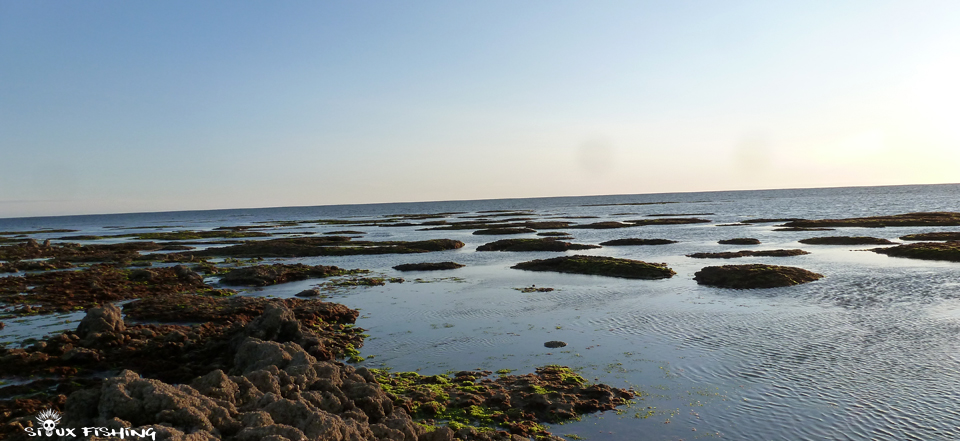 Île d'Oléron Île d'Oléron