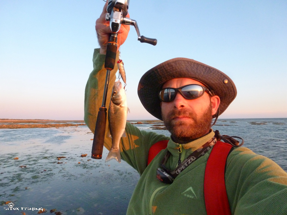 Petit bar de l’île d'Oléron Petit bar de l’île d'Oléron