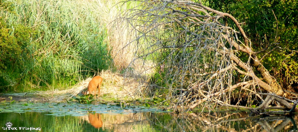 Paysage des bords de Seille Paysage des bords de Seille