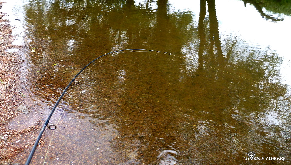 Pêche dans l'Arconce Pêche dans l'Arconce