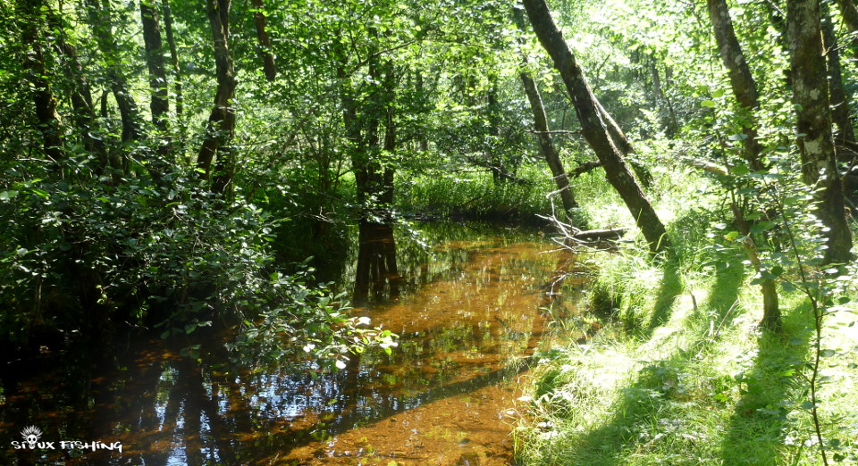 La Canche, rivière du Morvan