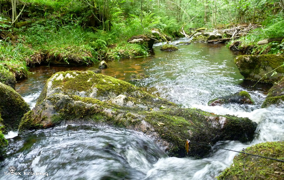  Canche, rivière du Morvan